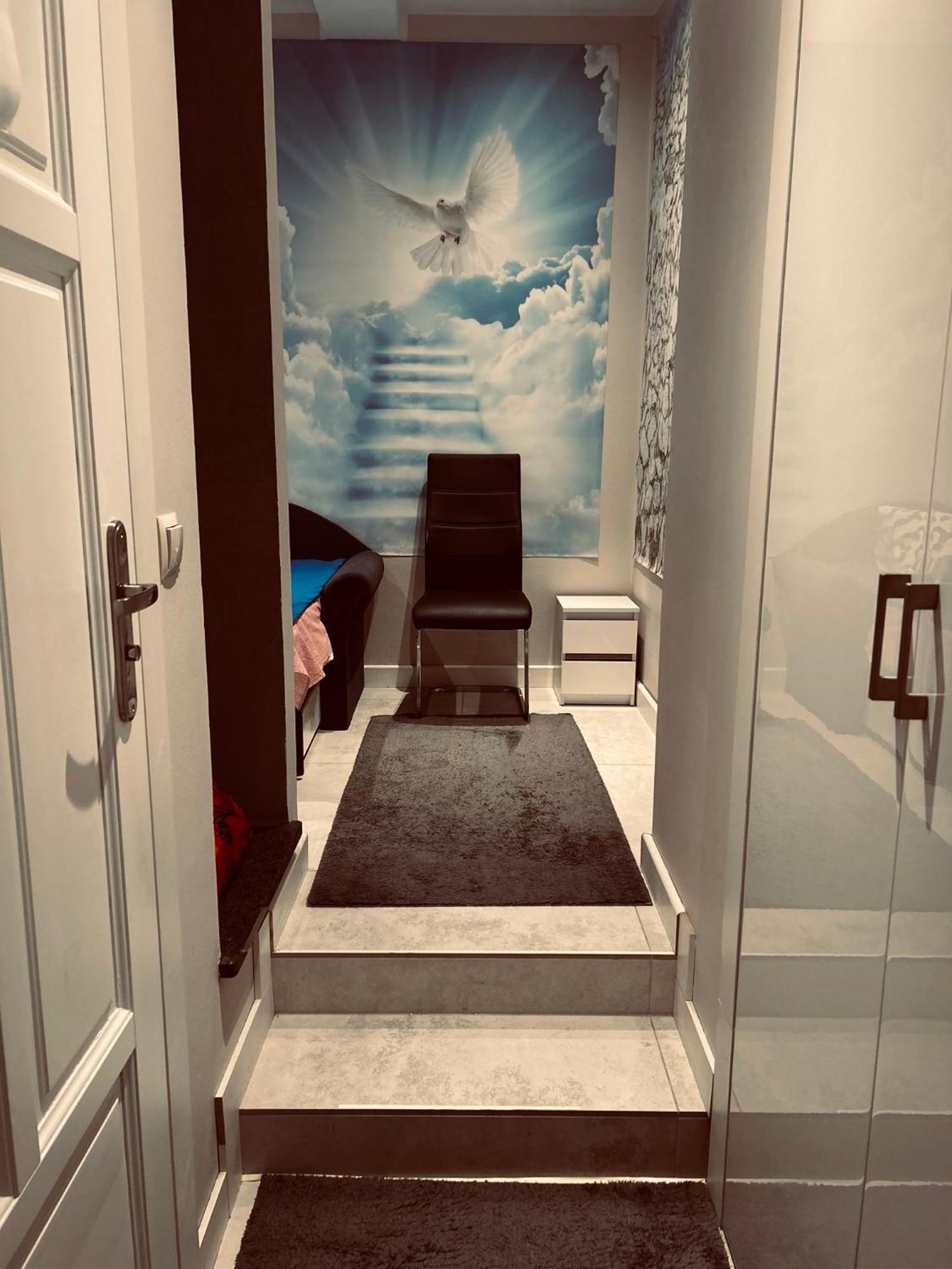 Ministay Kremerowska كراكوفيا المظهر الخارجي الصورة